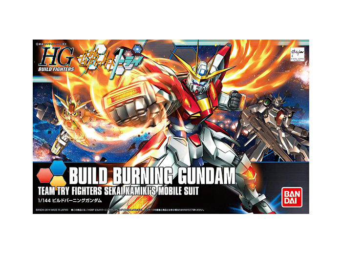 Burning Series Akame Ga Kill
