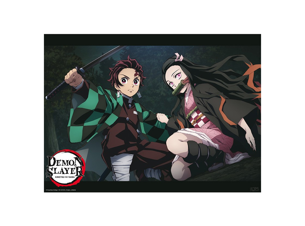 Box manga Demon slayer 10 tomes, découvrez Tanjiro et Nezuko !